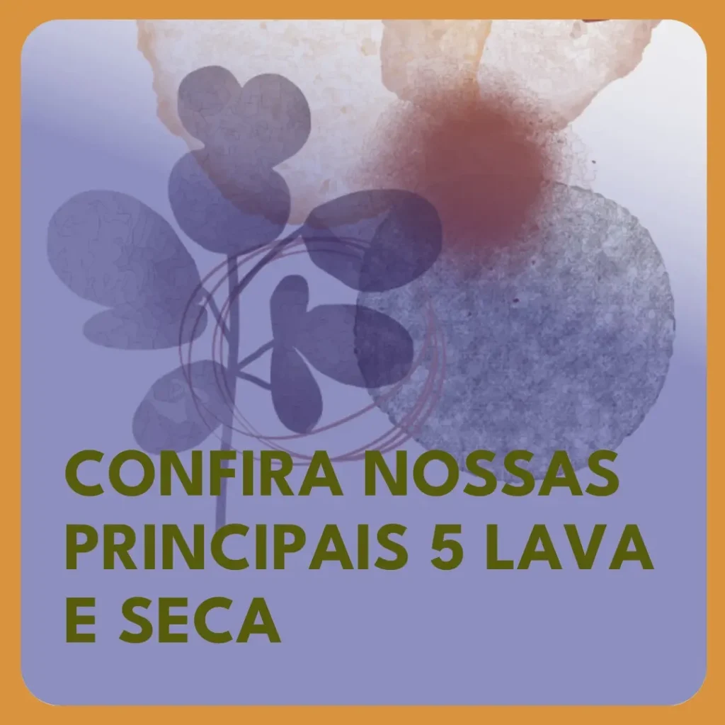 Principais 5  lava e seca