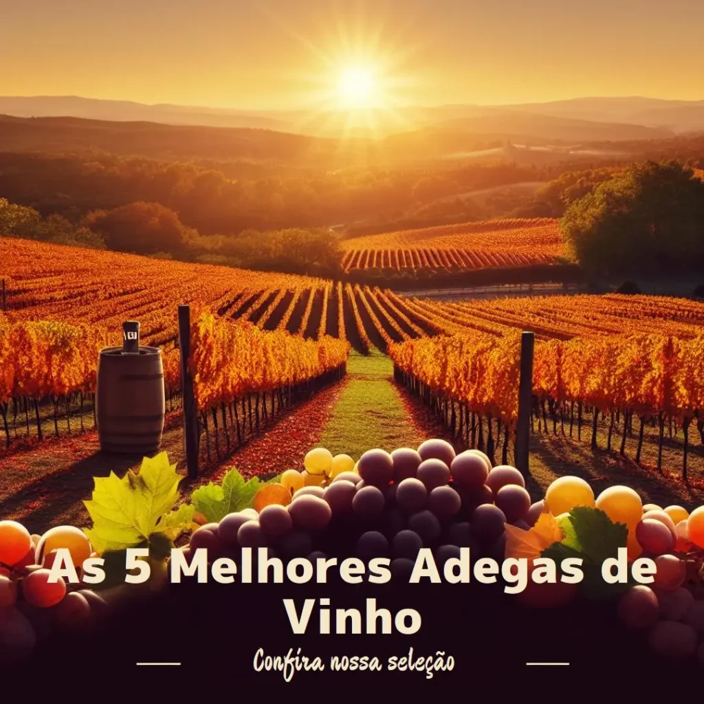 Principais 5  adega para vinho