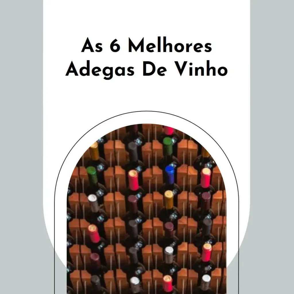 Top 6 Adega de Vinho para Amantes de Vinhos