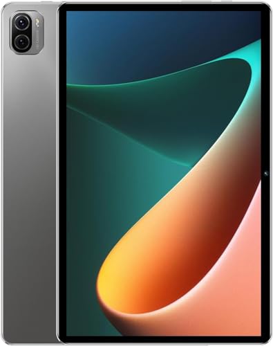 Tablet Pad 5 Pro, 8 GB de RAM + 256 GB, tela imersiva de 10,1 polegadas, 16 MP + 32 MP, resolução HD 1920 × 1200, 5G, Wi-Fi, Bluetooth, Android 13 octa-core, bateria de 8800mAh (Cinza)