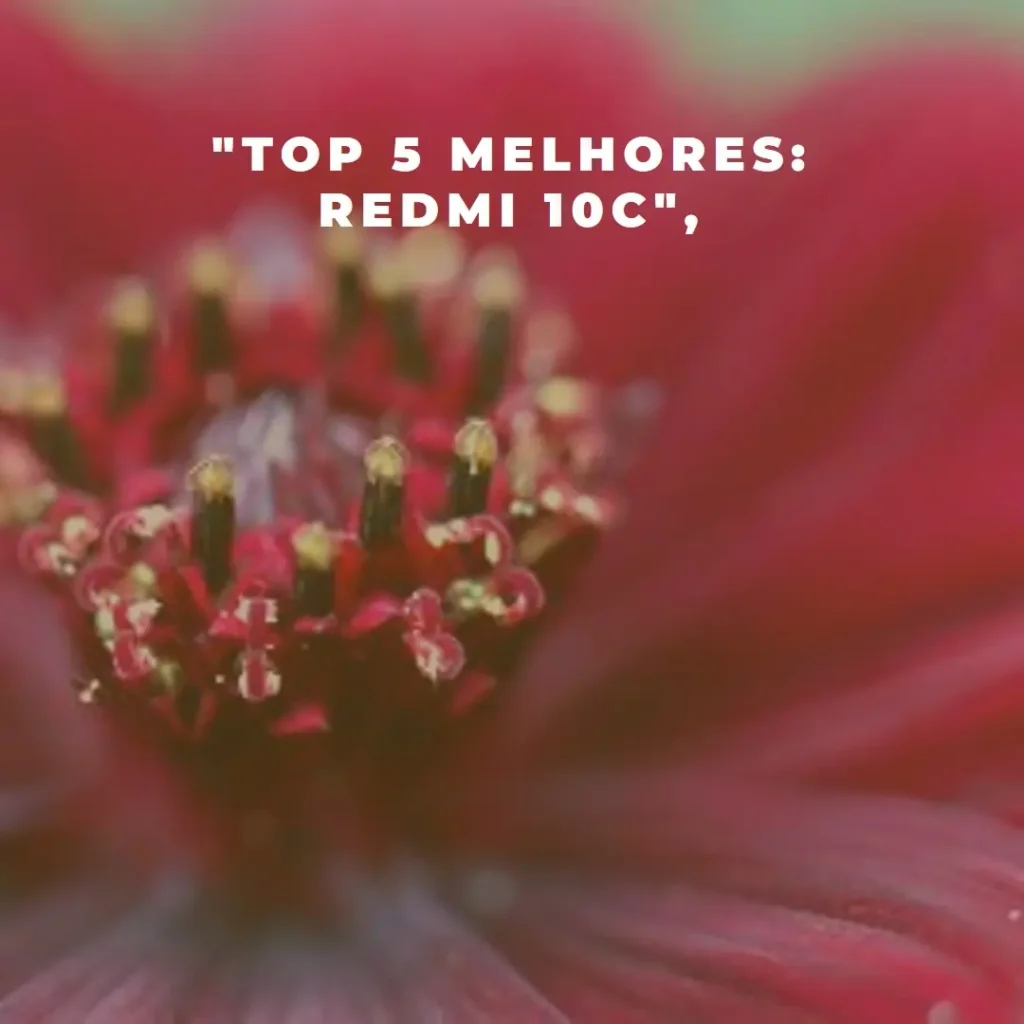 Lista de 5 Melhores: Redmi 10C