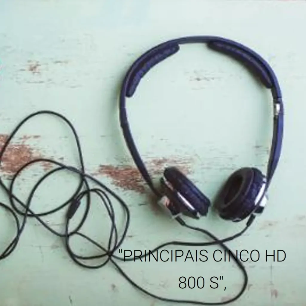 Principais Cinco hd 800 s Sennheiser