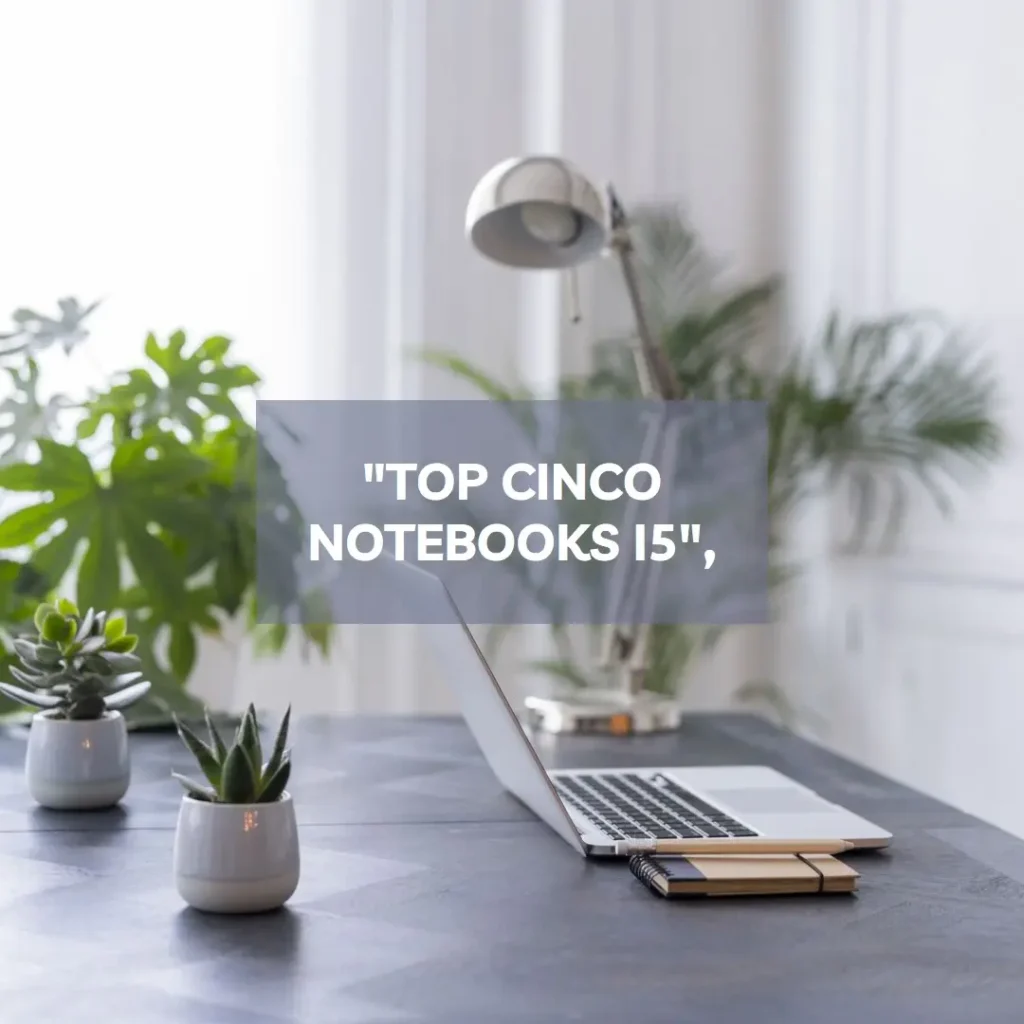 Top Cinco notebook i5 8gb ssd 512gb