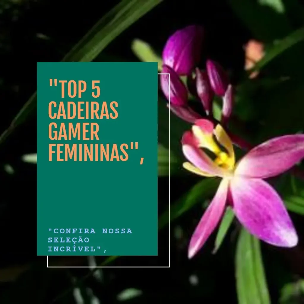 Top 5 Opções de cadeira gamer feminina