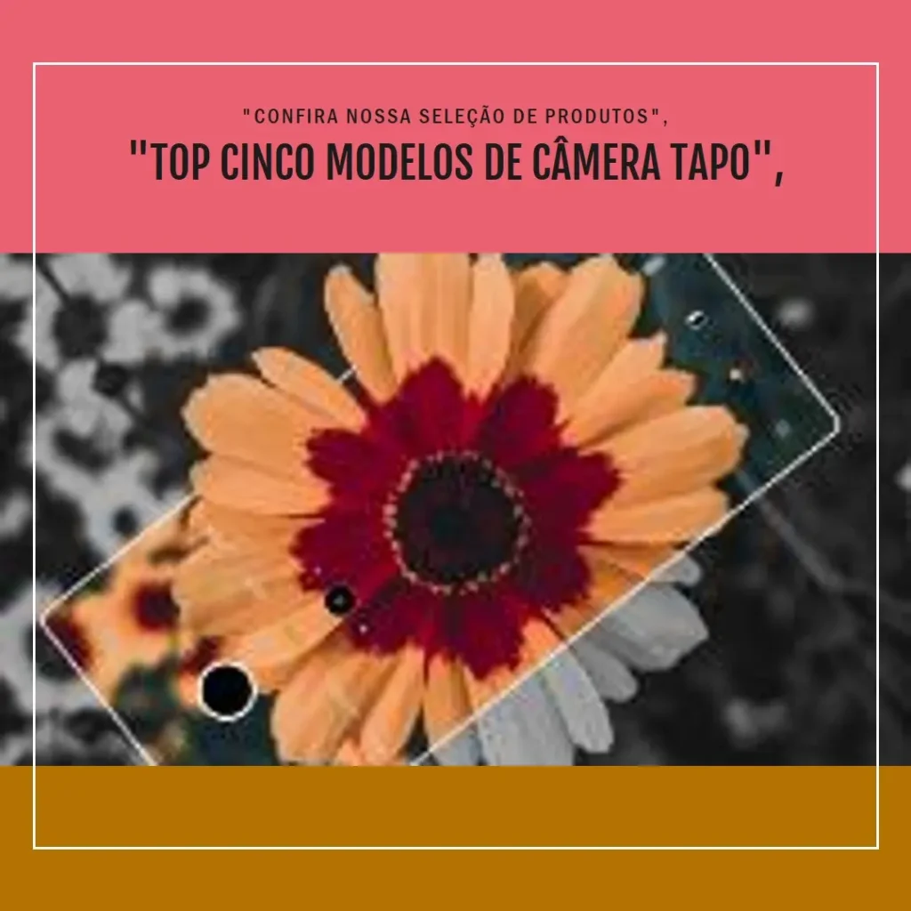 Top Cinco Modelos de câmera Tapo