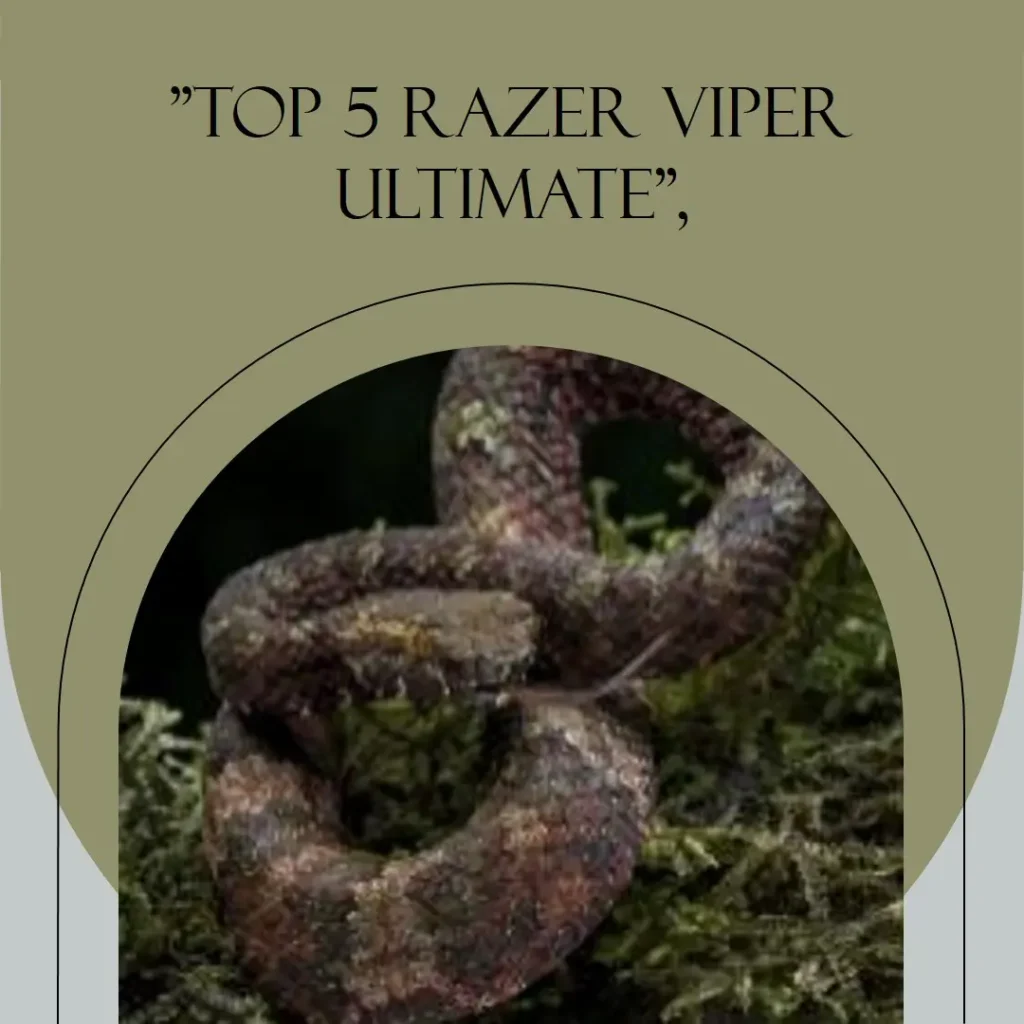 Top 5 Razer viper ultimate
