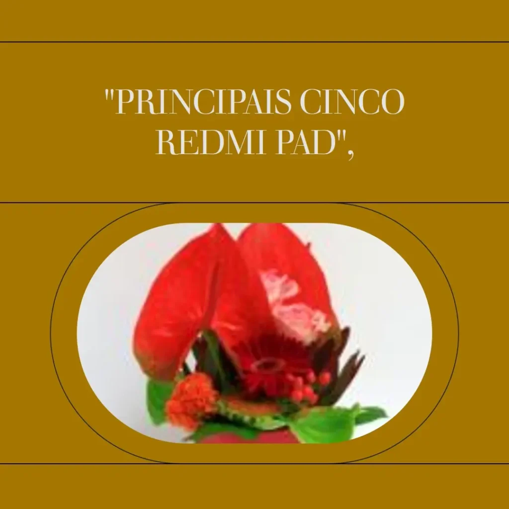 Principais Cinco Redmi pad se 8.7