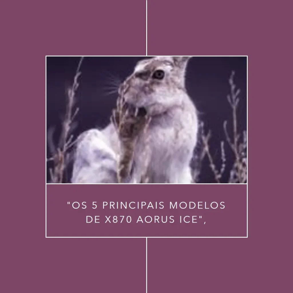 Os 5 Principais Modelos de x870 Aorus ice