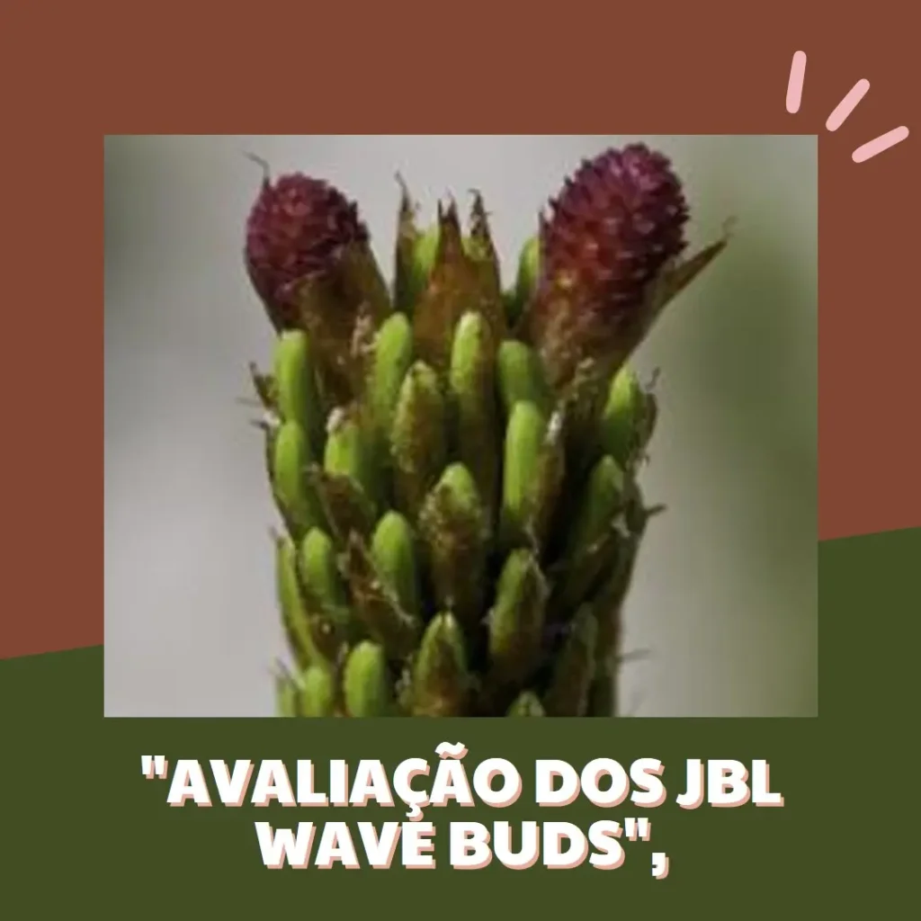 JBL Wave Buds TWS: Fone de Ouvido Sem Fio com Qualidade e Estilo