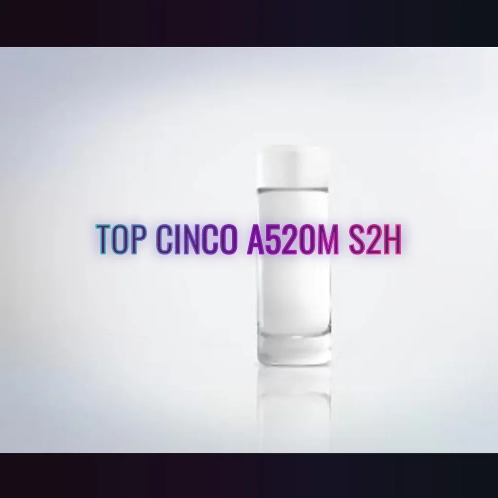 Top Cinco A520M S2H