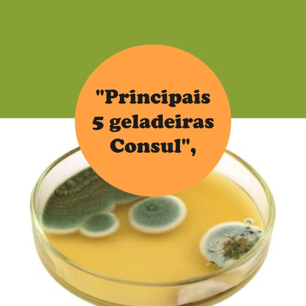 Principais 5 geladeira frost free Consul duplex