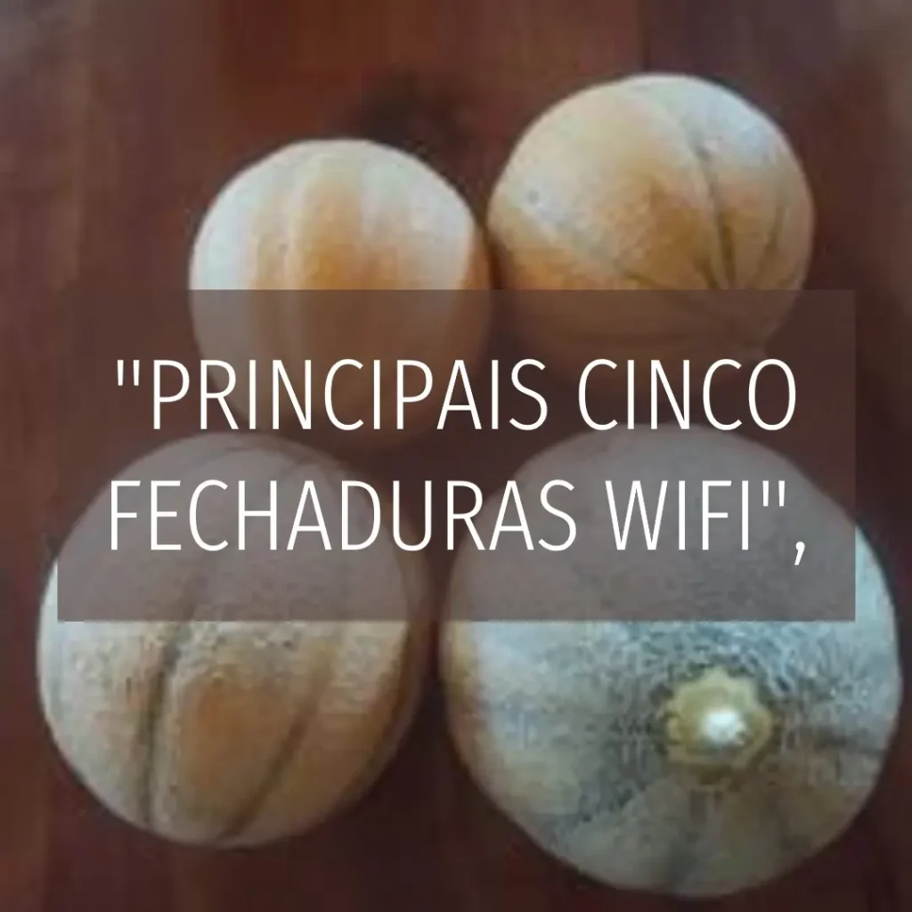 Principais Cinco fechadura digital wifi