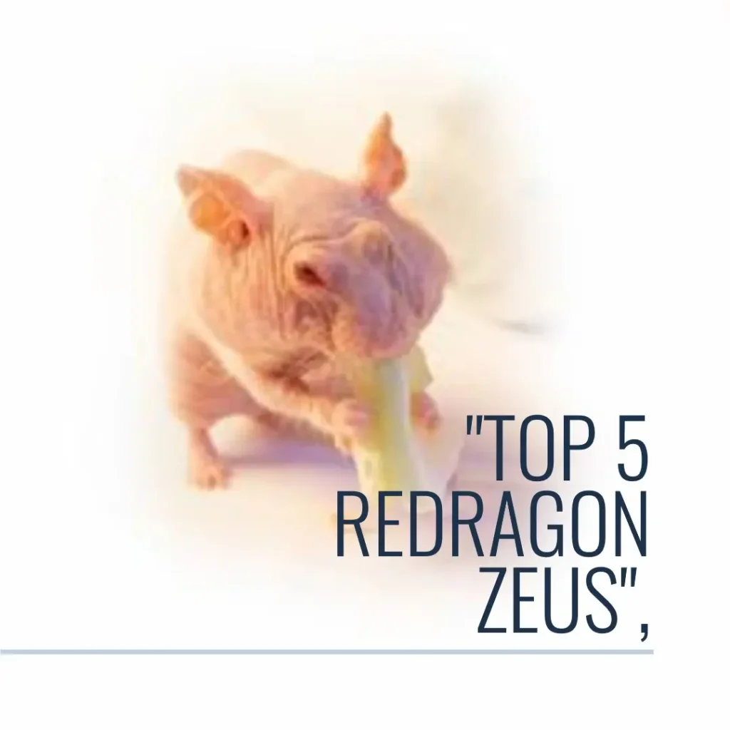 Top 5 reddragon zeus