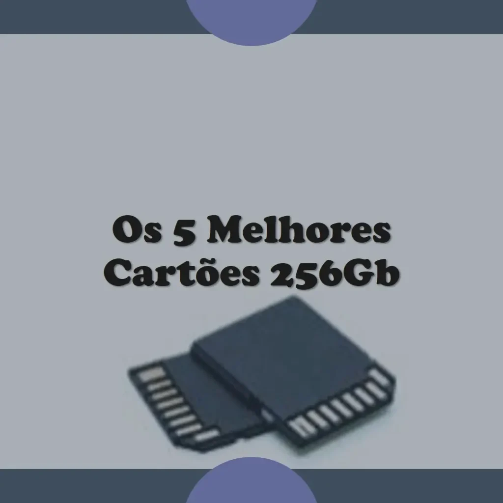 Os 5 Melhores Modelos de Cartão De Memoria 256Gb