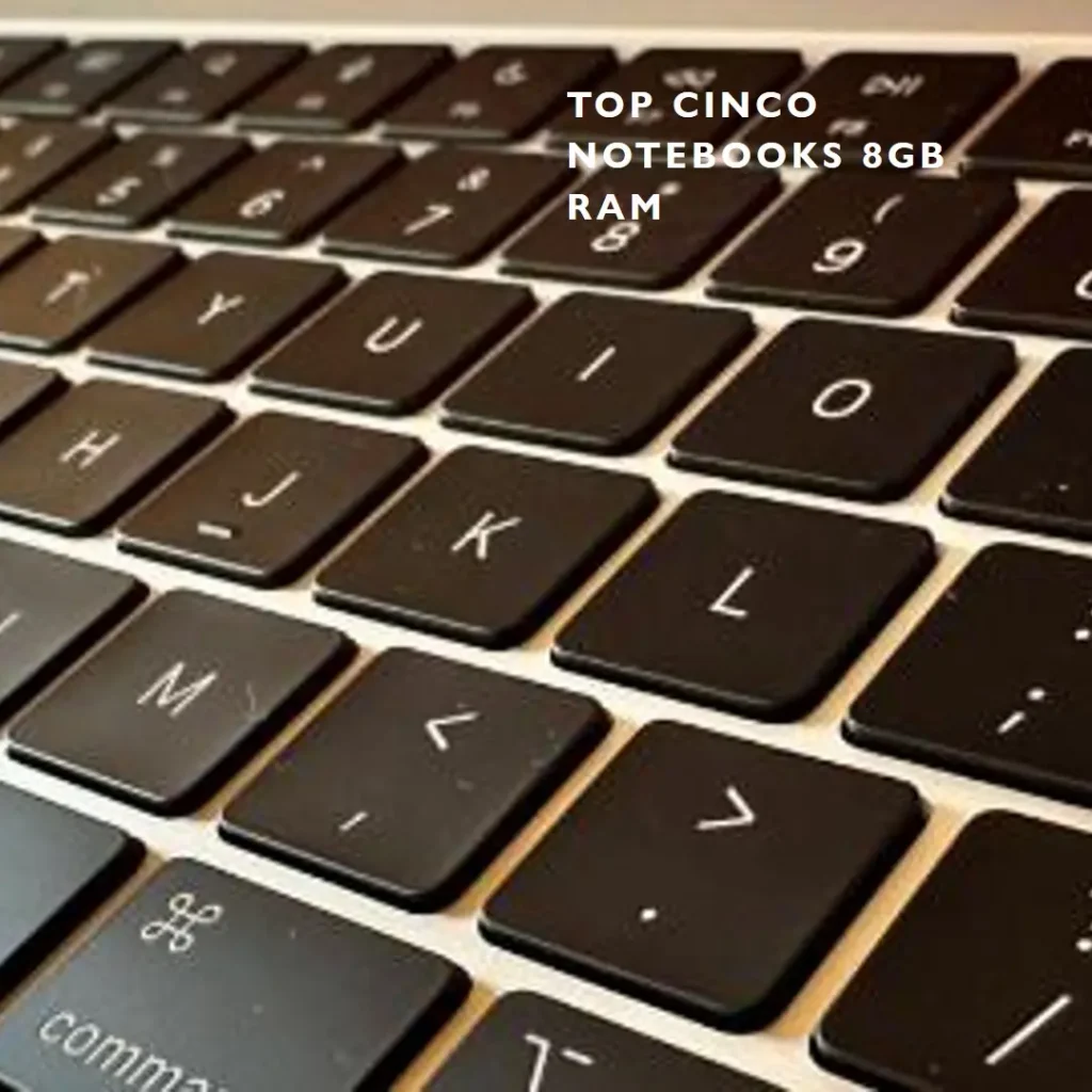 Top Cinco notebook 8gb ram
