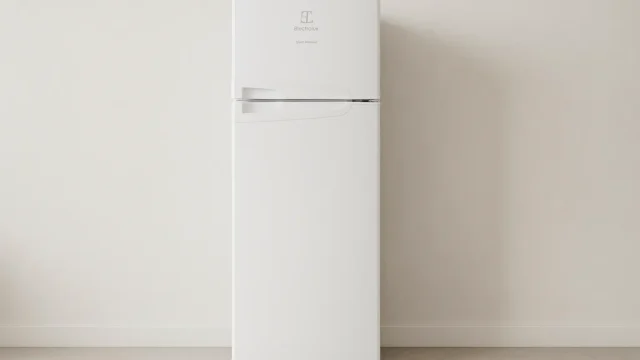 3 Melhores Geladeiras Electrolux Cycle Defrost 260L Testadas por Usuários Reais